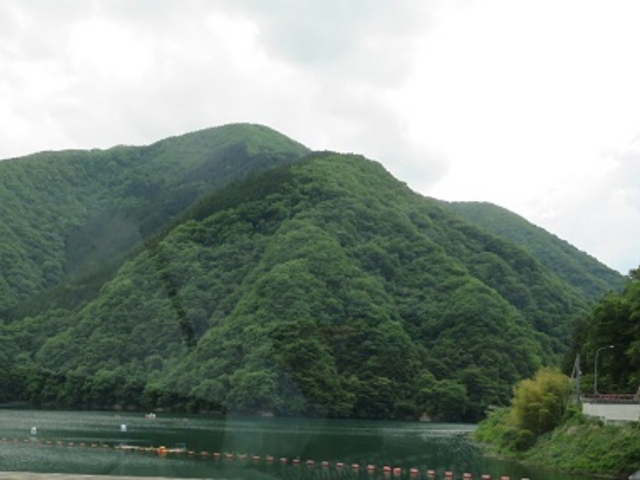 ������_������