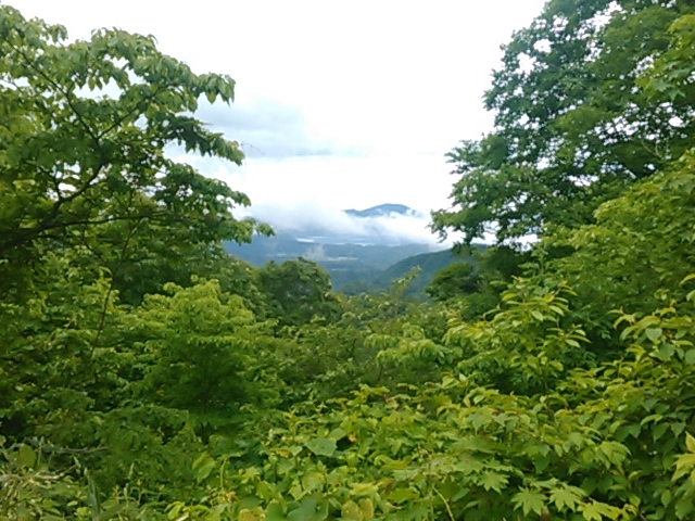 ���傱���Ƃ����������c��΁B_�c��΍���