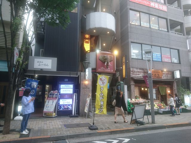 W჋̃Eg`bv _y̓eʐ^1