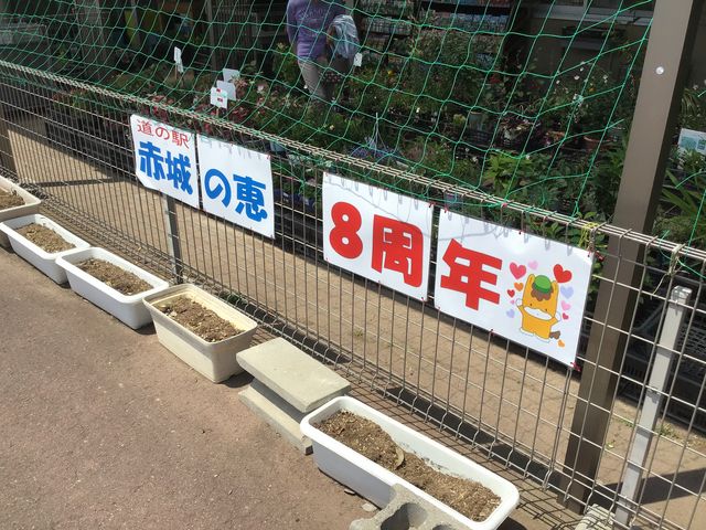 �{�݂̈ꕔ_�O�����E���򂠂��̂�܂̓�