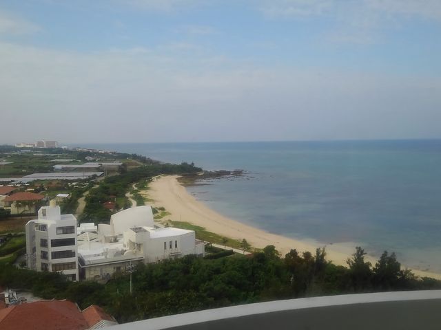 {Iɂǂ̕I[Vr[@͓qArʂ܂B_Czecg