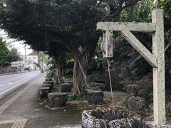 ガスパチョさんの桃林寺（沖縄県石垣市）への投稿写真1