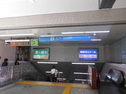 gV[̉lscnSݖw̓eʐ^1