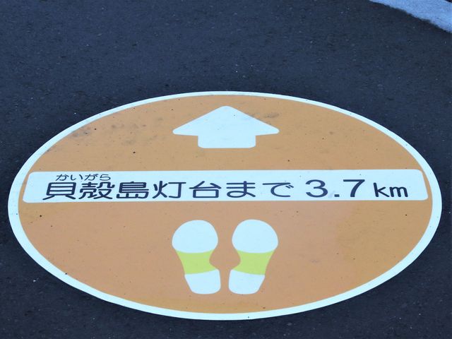 �ڂ̑O�Ɍ�����̂ɁI_�[���z��