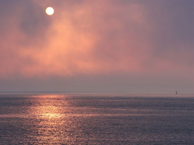 �k���̓y�������̏o_�[���z��