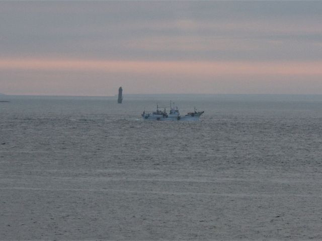 ���E�M���M���̏��ŋ��̏���_�[���z��