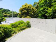 ۂۂ₳̗Zpق̓eʐ^1