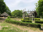 �P�C�R����̖��Ղ̓��e�ʐ^1