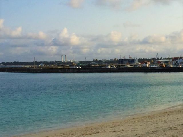 �p�C�i�K�}�r�[�`�𒩂̎U���Ƃ��ăE�H�[�L���O_�p�C�i�K�}�r�[�`