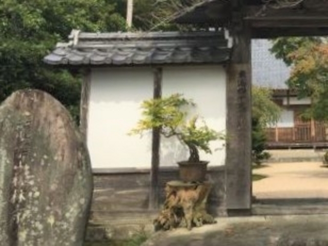 ���ю�_���ю�