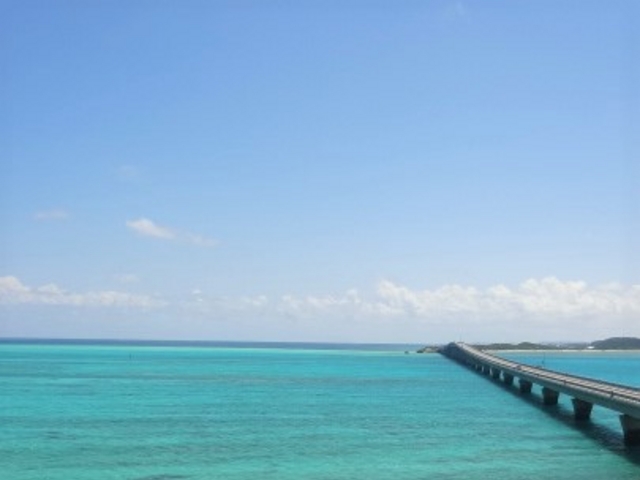 �C�����Ƃ������X�̓W�]�䂩��_�r�ԑ勴