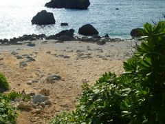 tuka̒̓r[`ւ̓eʐ^1