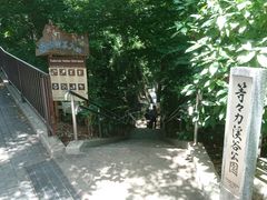 e񂳂̓X͌kJւ̓eʐ^1