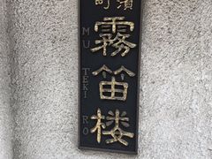 ҂݂񂳂̖JOւ̓eʐ^1