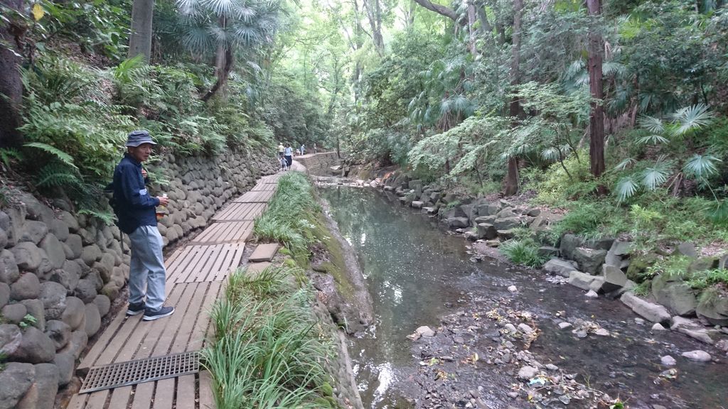 三軒茶屋駅周辺の公園 庭園ランキングtop10 じゃらんnet