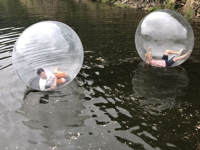 �l�����̃A�N�A�{�[���Ɉ���ꓬ����l�q�ł�_��獁