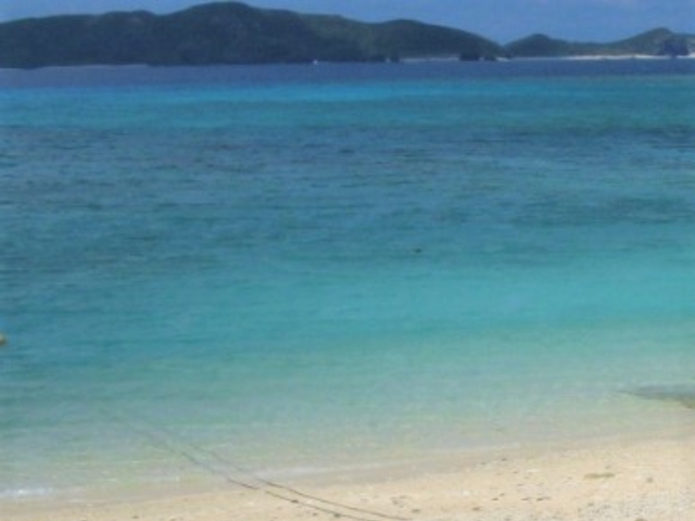 �n�Õ~���A�n�Îu�v�r�[�`_�n�Îu�v�r�[�`