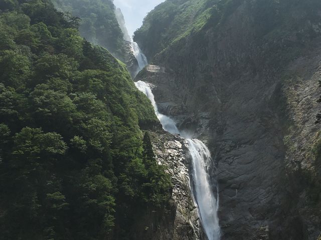 �撣���ĕ�������̑ꂵ�Ԃ��͍ō�_�̖���