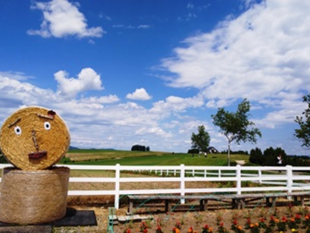 �V�h�̋u�W�]�����@�������炪���Ƃ������Ȃ���_�V�h�̋u�W�]����