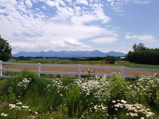 �V�h�̋u�W�]����_�V�h�̋u�W�]����