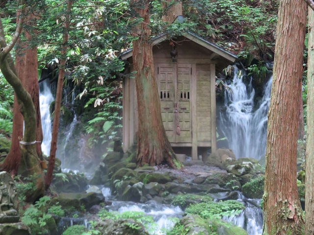 Ђ낿񂳂̎lG̐X@炢Rق̓eʐ^1