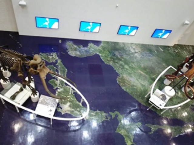 �k�C��������_�k�C��������