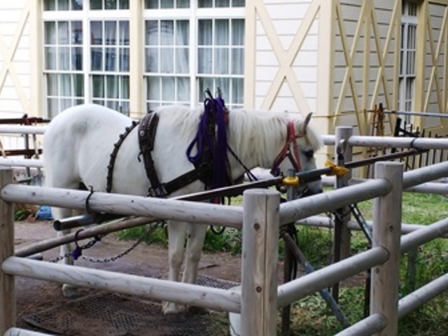 �n�ԓS���̂��n����_�k�C���J��̑�