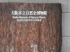 panchan̑sRjقւ̓eʐ^1