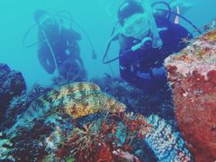 񂳂̈ɓ_CrOXN[ gbcւ̓eʐ^1