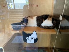 panchan̋Muwi܃~[WA jւ̓eʐ^1