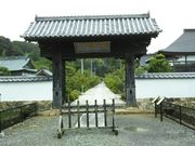 񂳂̖{̉B뉀̓eʐ^1