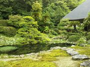 񂳂̖{̉B뉀̓eʐ^2