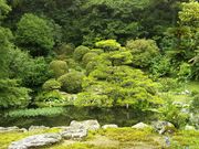 񂳂̖{̉B뉀̓eʐ^3