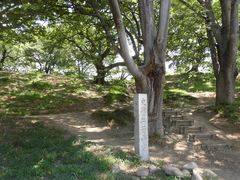 �i�V��j��q�R�Õ��̎ʐ^1