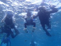 ւڂՂɂ̊Cgւ̓eʐ^1