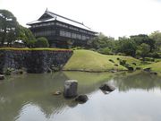 dai-neko̗Ս]t̓eʐ^1