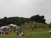 dai-neko̓{LpbN厺̓eʐ^1