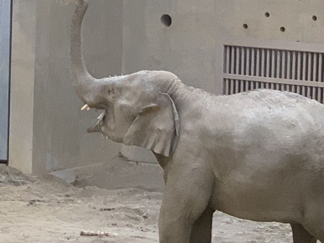 ��������_�~�R������