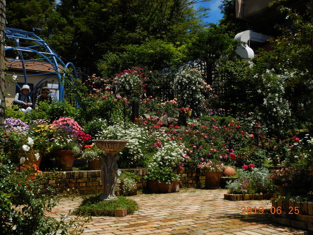 ���������[�Y�K�[�f��_�K�[�f���~���[�W�A����b