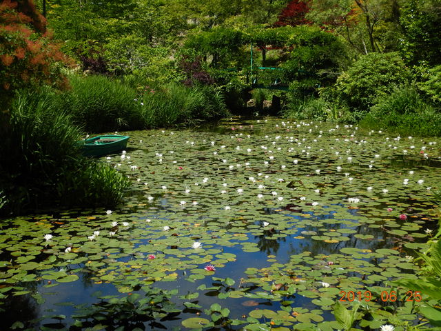 ���l�́u���A�̒�v_�K�[�f���~���[�W�A����b