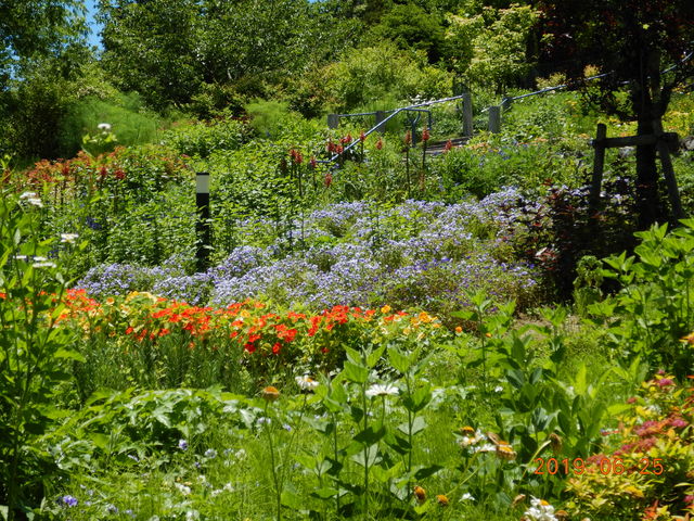 �Ԓd�Q_�K�[�f���~���[�W�A����b