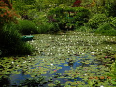 ӂȂ񂳂̃K[f~[WAbւ̓eʐ^3