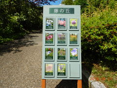 ӂȂ񂳂̃K[f~[WAbւ̓eʐ^4