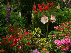 ӂȂ񂳂̃K[f~[WAbւ̓eʐ^5