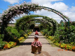 ӂȂ񂳂̃K[f~[WAbւ̓eʐ^7