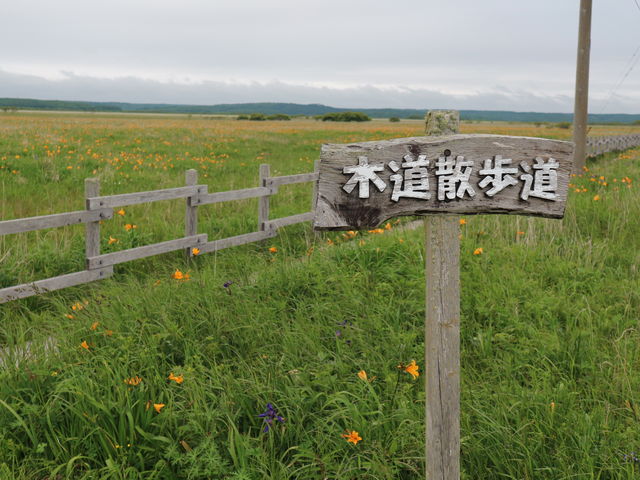 �U����_�����z����