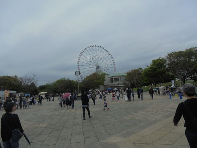 �_�C���ƉԂ̑�ϗ���_�_�C���ƉԂ̑�ϗ���