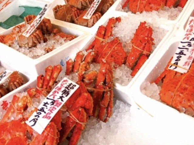 ����_���������s���O�s��