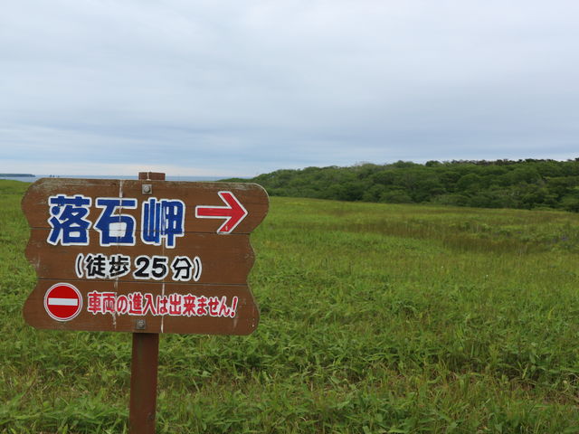 ���Ζ��\����_���Ζ�