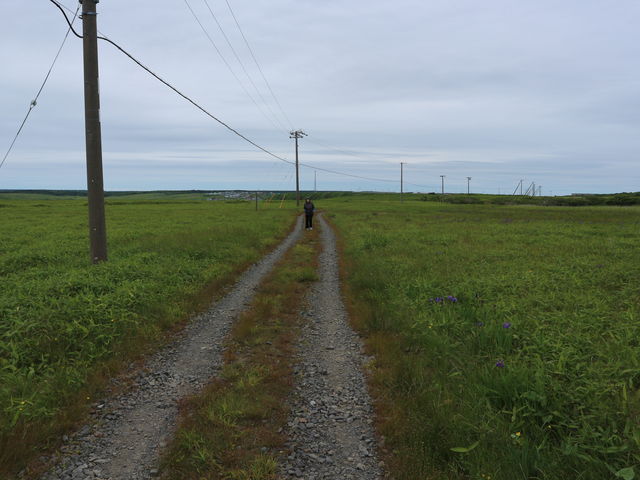 �ǂ��܂ł�������_���Ζ�